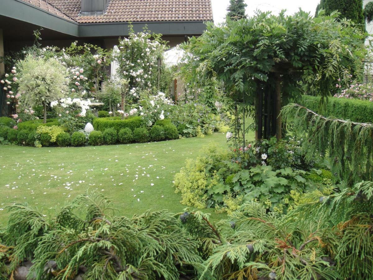 Charming And Cosy Apartment Near Lucerne Romerswil Екстер'єр фото
