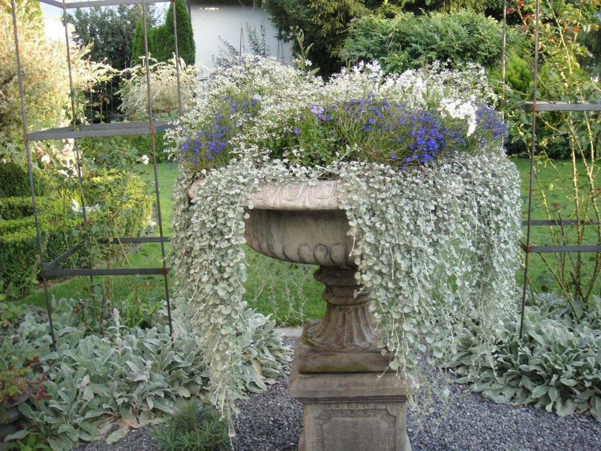 Charming And Cosy Apartment Near Lucerne Romerswil Екстер'єр фото